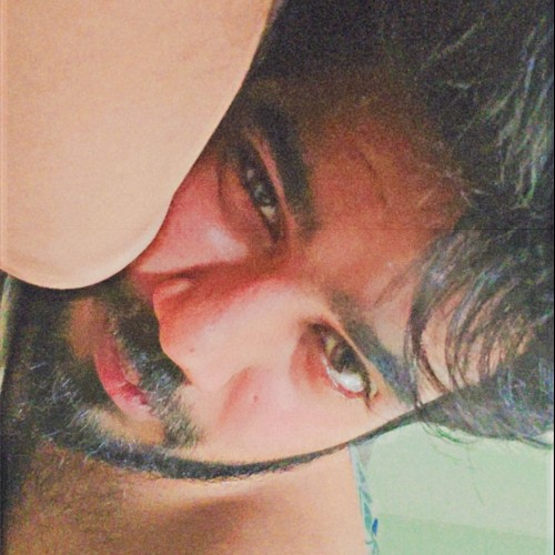 Arif  D.