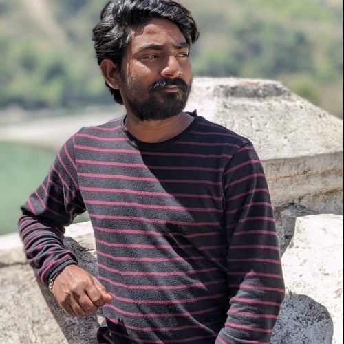 Parbhu V. profile photo