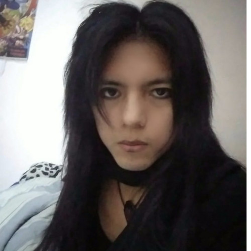 Luis S. profile photo