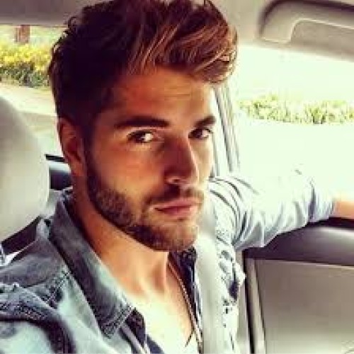 mark l.