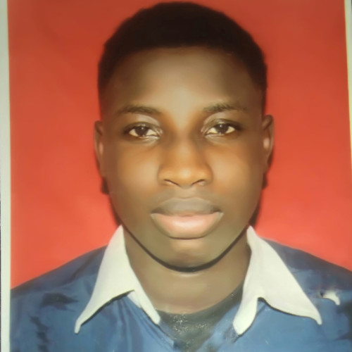 Adeyemi  M. profile photo