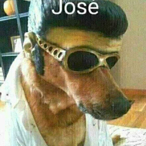 Mateo S. profile photo