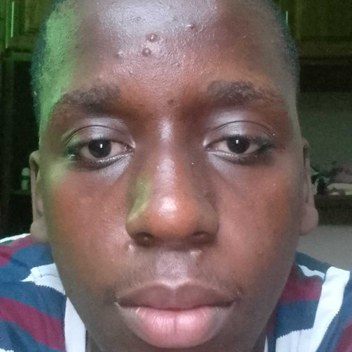 wolfboy E. profile photo