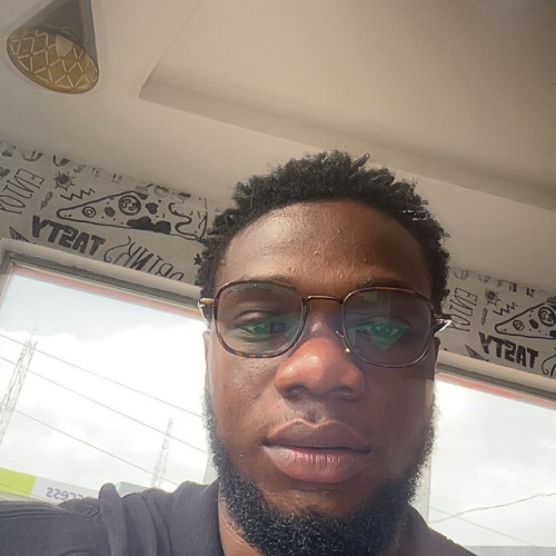 chibuike E. profile photo