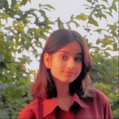 Kritika k.