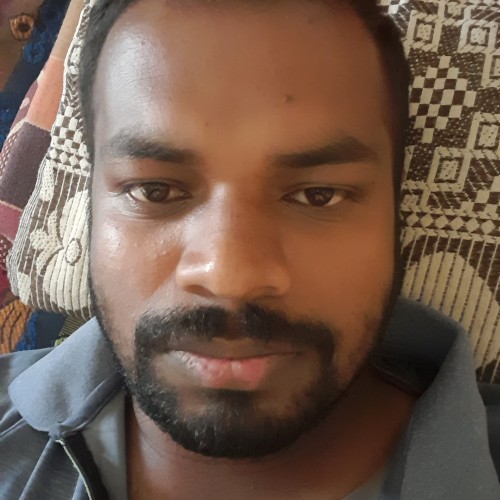 Shashi K. profile photo