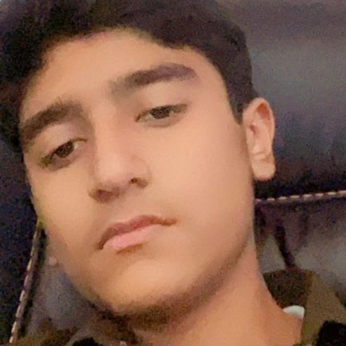 Ibrahim M. profile photo