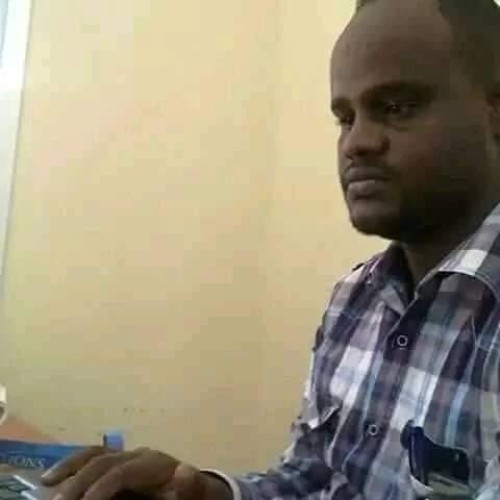Abdullahi N.