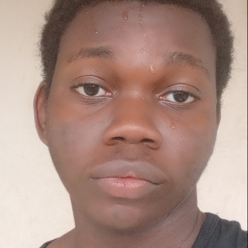 Daniel B. profile photo