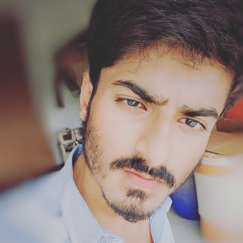 Ali S.