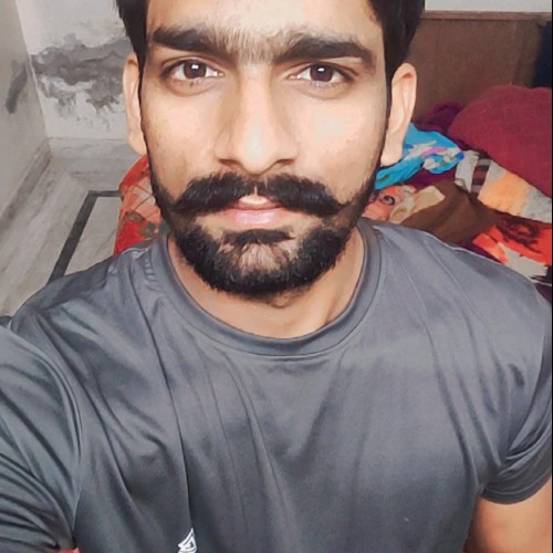 Yogi Y.