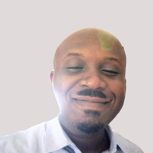 Chidiebere N. profile photo