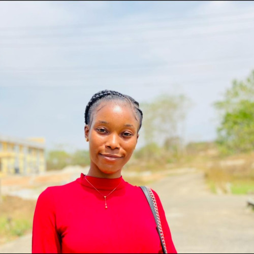 OLABISI K. profile photo