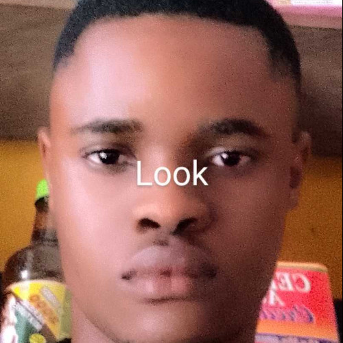 Collins D. profile photo