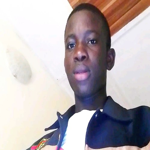 Chigozilem  O. profile photo