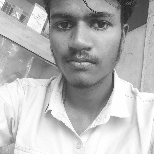 Gokul N. profile photo