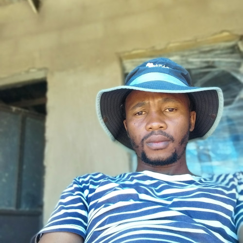 Thobani M. profile photo