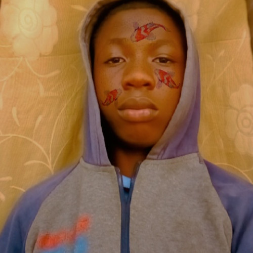 Timileyin E. profile photo