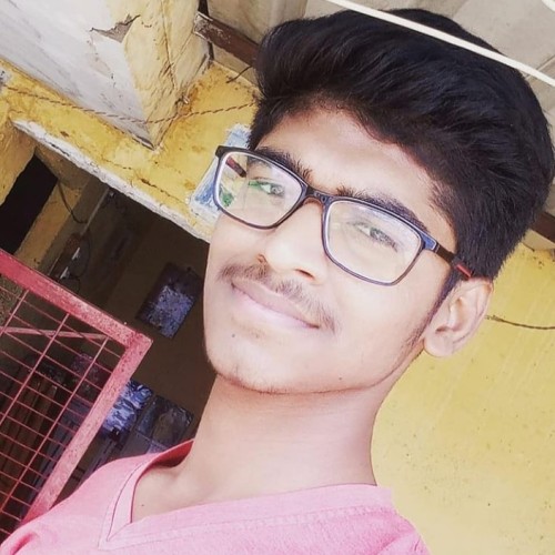 Mohan Ram M.