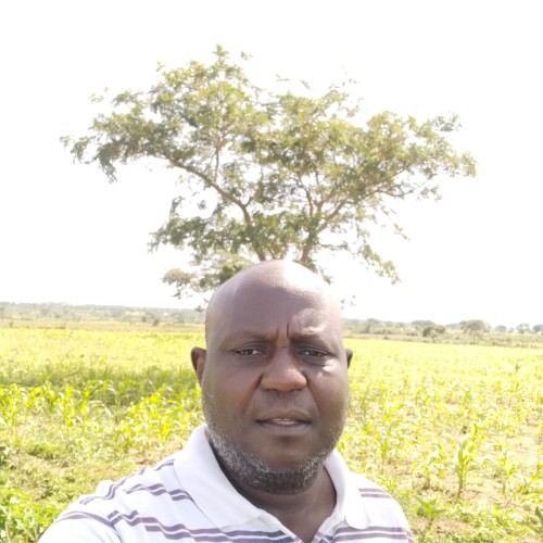 mamman b.