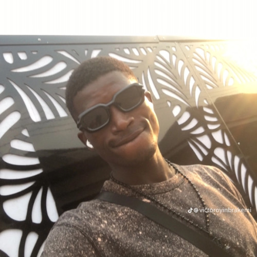 oyinbrakemi V. profile photo