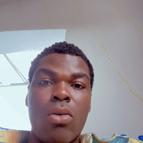 Daniel N. profile photo