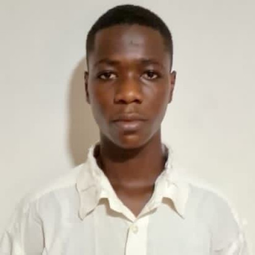 El Ameen A. profile photo