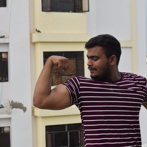 Aryan S.