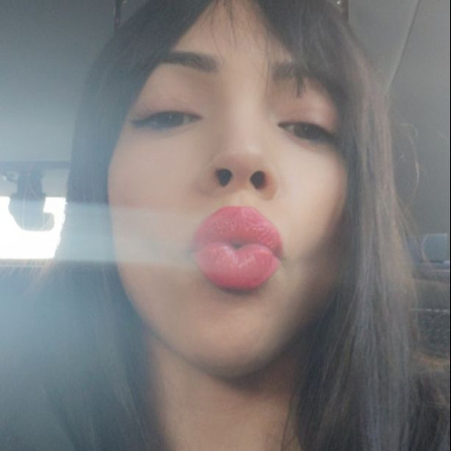 Palmas S. profile photo