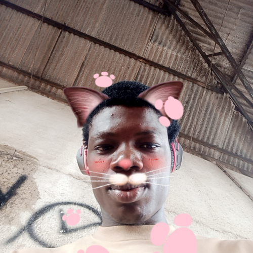 Jeffrey  N. profile photo