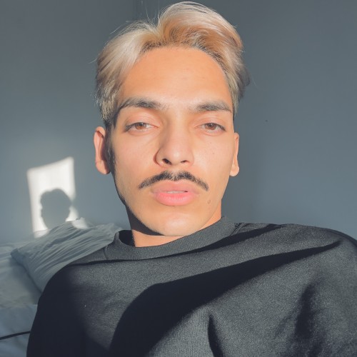 Paulo P. profile photo