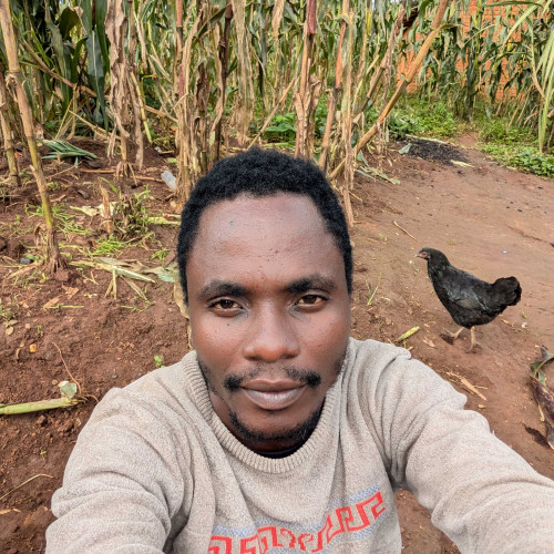 Joseph N. profile photo