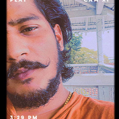 Tiger Z.