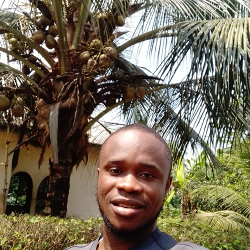 David  U. profile photo