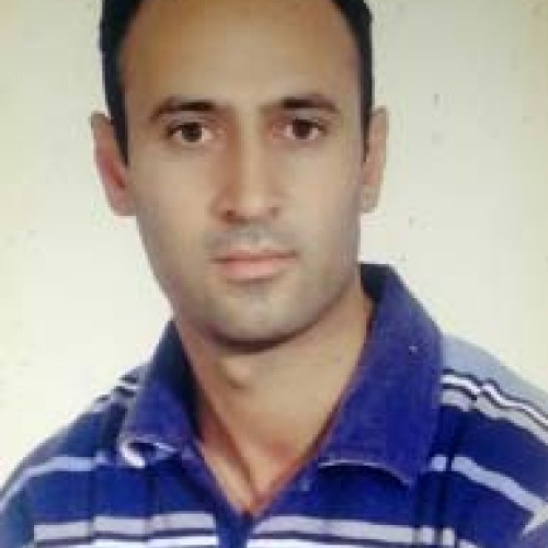 Shahram F. profile photo