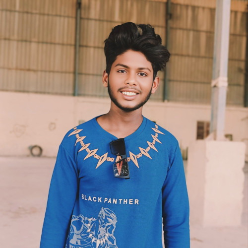 Rajaboyana Y. profile photo