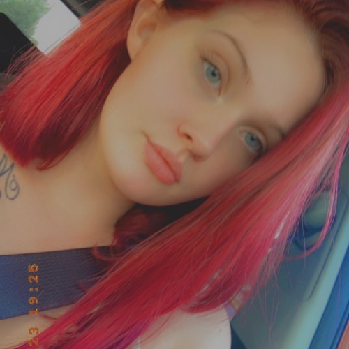 Taylor T. profile photo