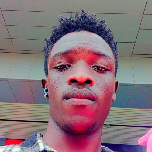 Job o. profile photo