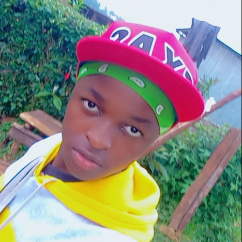 bee k. profile photo