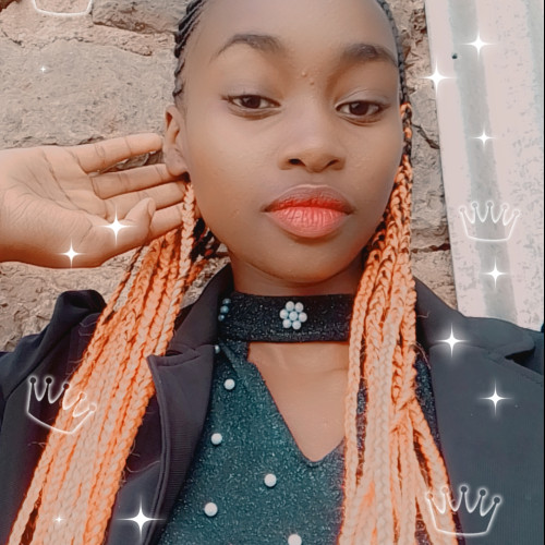 Ari J. profile photo