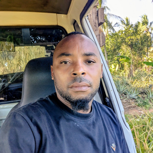 Denis M. profile photo