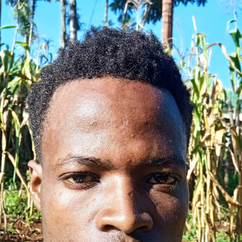 Josphat M. profile photo