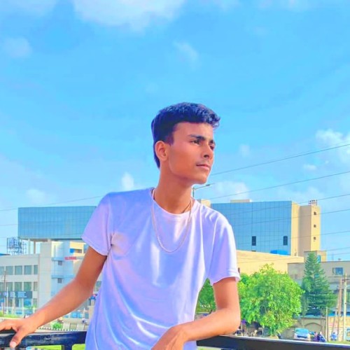 Avi M.