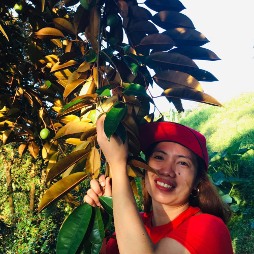 Amihan T. profile photo