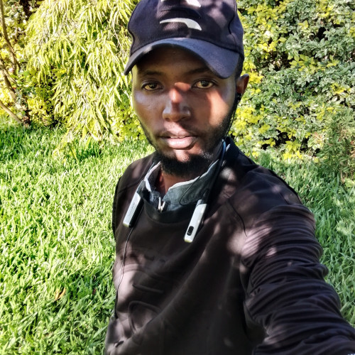 Paul K. profile photo