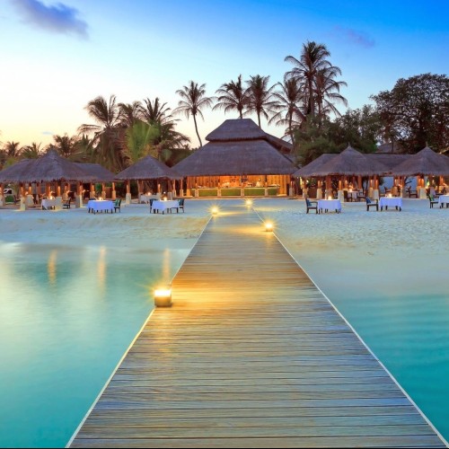 Wissam M. profile photo