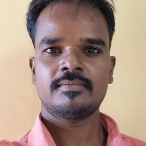 dannush k. profile photo