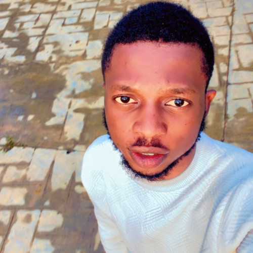 Oluwasegun  A. profile photo