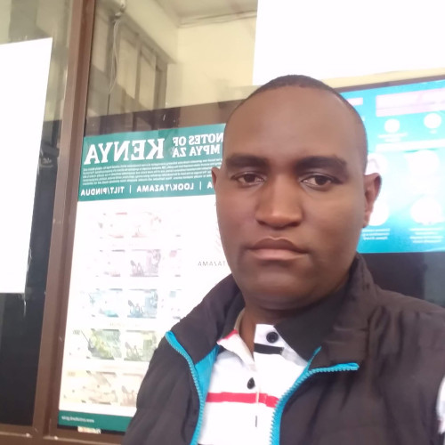 Moses M. profile photo