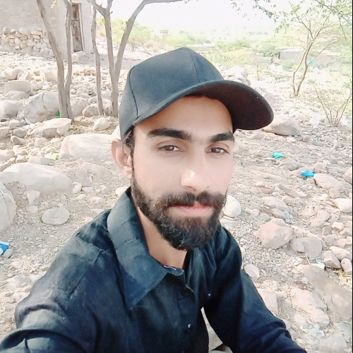 murshid m. profile photo